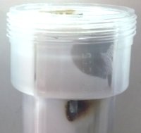 l'électrolyseur
